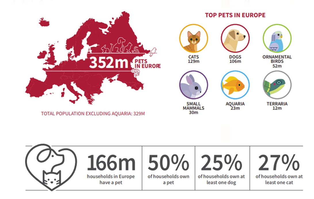 歐洲養(yǎng)狗突破1億只，哪個(gè)國(guó)家最多？歐洲寵物市場(chǎng)情報(bào)！